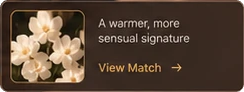 Match: a warmer, more sensual signature
